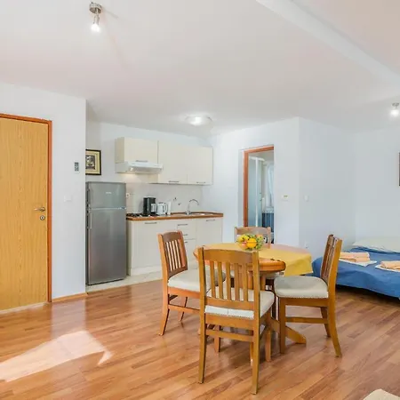 In Dubasnica With Kitchen Apartment *